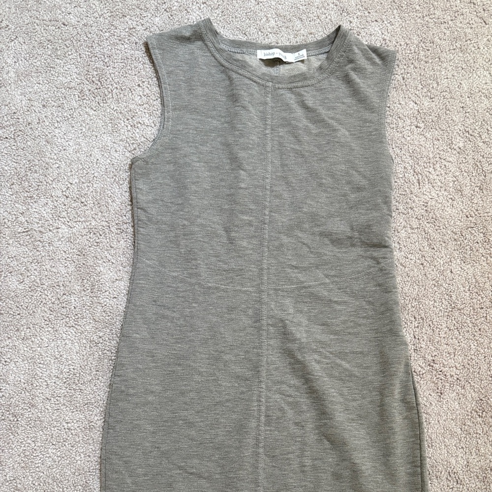 Bishop + Young Elegant Gray Sleeveless Dress